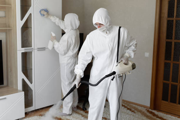 24/7 Emergency Odor Removal experts in Clinton, IL
