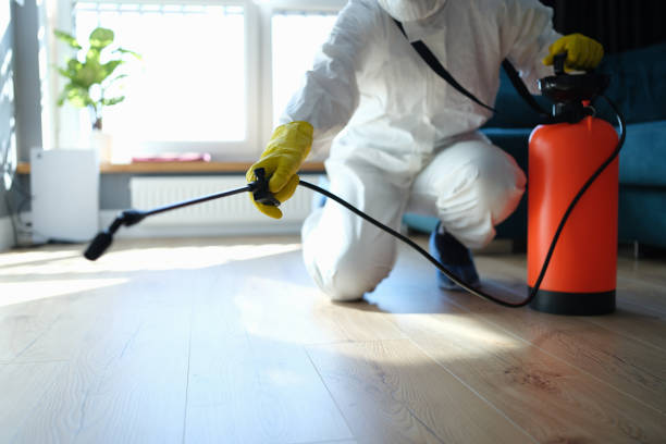 Reliable Odor Removal contractor in Clinton, IL by Crime Scene Cleaner Online